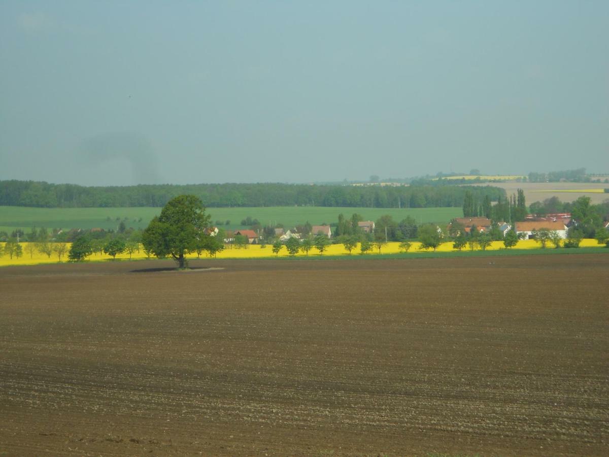 Gastehaus Schirner Hotel Niederau Luaran gambar